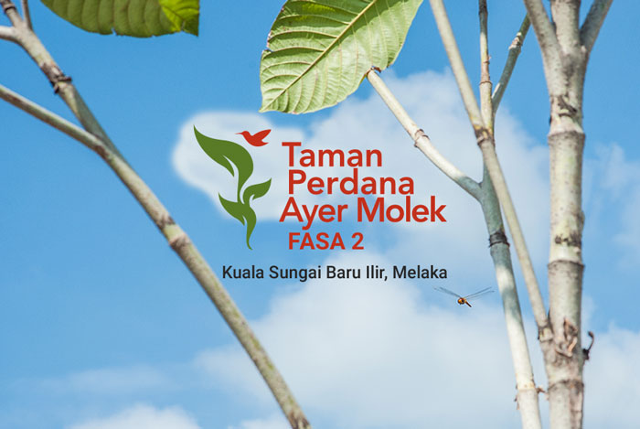 Taman Perdana Ayer Molek (Fasa 2) Projek Siap Dengan CCC pada 27 MAC 2018