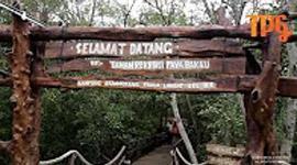 JOMTPG - Taman Rekreasi Paya Bakau Sijangkang