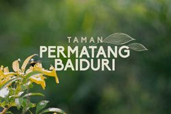Taman Permatang Baiduri siap dengan CCC (14 SEP 2025)